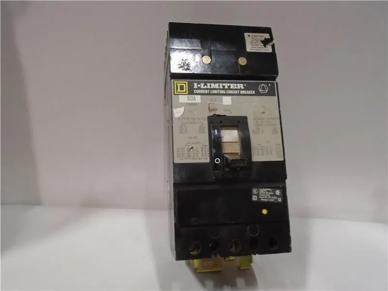 Schneider Electric FI36060