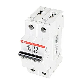 ABB S202-D63 — 2-Pole MCB (DIN Rail) (image 3)