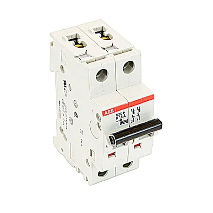 ABB S202P-K16 — 2-Pole MCB (DIN Rail) (image 3)