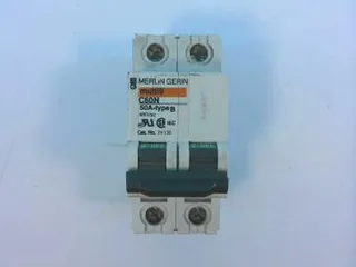 Schneider Electric C60N-50A