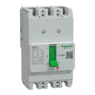 Schneider Electric G12F3F63