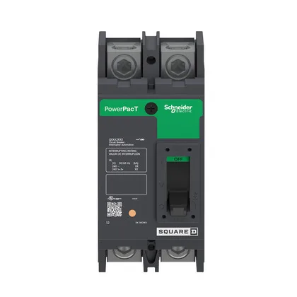 Schneider Electric QDL22110 (image 4)