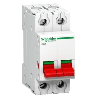 Schneider Electric A9S2P100