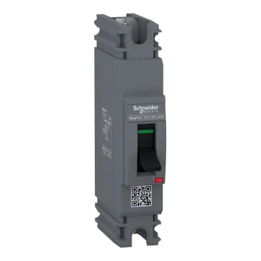Schneider Electric EZC100H1080 — Circuit Breaker Accessories