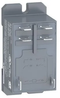 Schneider Electric RPF2ABD