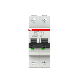 ABB ST202M-B60 — 2-Pole MCB (DIN Rail) (image 2)