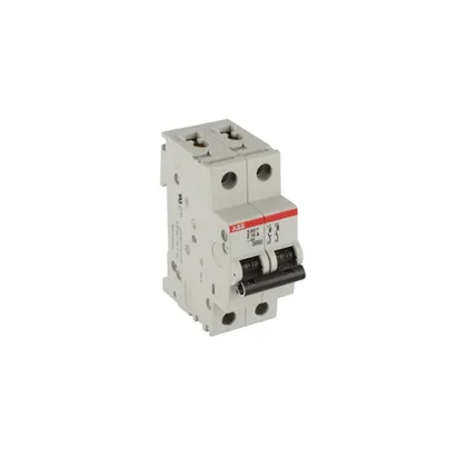 ABB S202P-Z16 — 2-Pole MCB (DIN Rail)