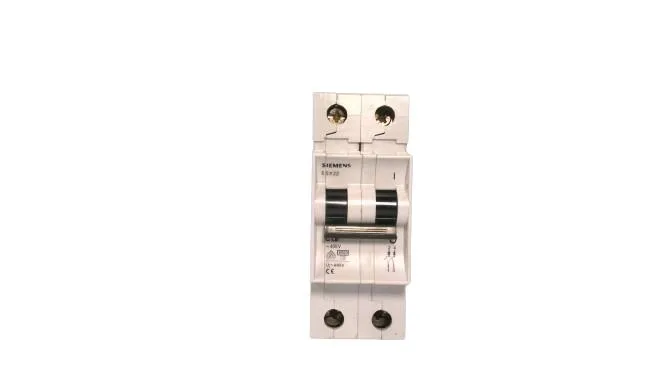 Siemens 5SX2216-7 — 2-Pole MCB (DIN Rail) (image 2)