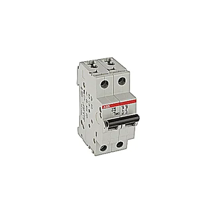 ABB S202-D40 — 2-Pole MCB (DIN Rail) (image 2)