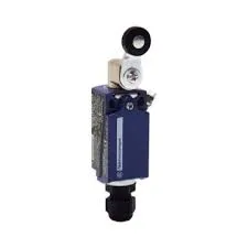 Schneider Electric XCKD3918P16EX