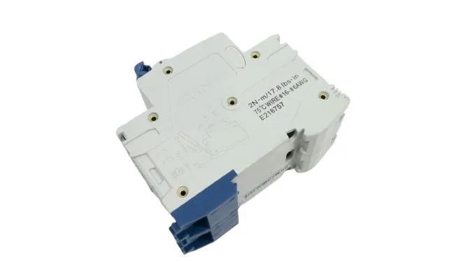 Chint NB1-63-D25-2P — 2-Pole MCB (DIN Rail)