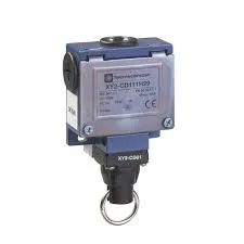 Schneider Electric XY2CD111H29