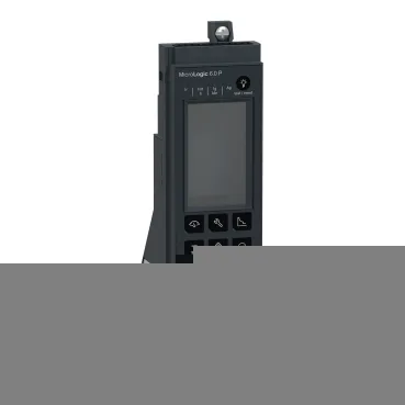 Schneider Electric C6PWM