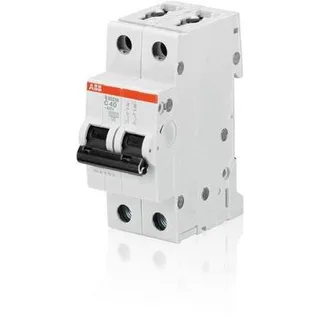 ABB S202M-B16 — 2-Pole MCB (DIN Rail)