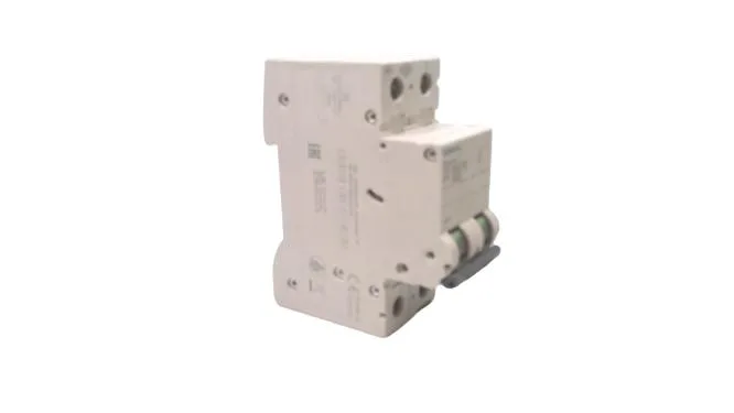 Siemens 5SL6213-7 — 2-Pole MCB (DIN Rail) (image 2)