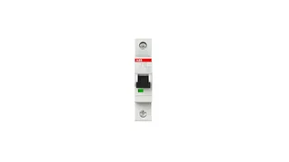 ABB 2CDS251001R0065 — 1-Pole MCB (DIN Rail)