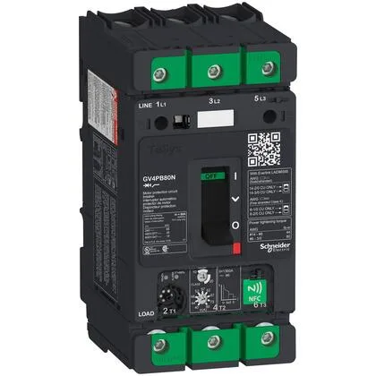 Schneider Electric GV4PB80N (image 2)