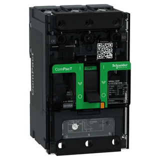 Schneider Electric C11F3TM100B