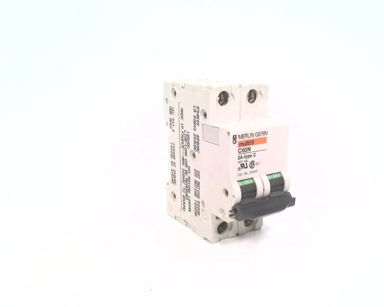 Schneider Electric C60N-2P-2A-C — 2-Pole MCB (DIN Rail) (image 4)