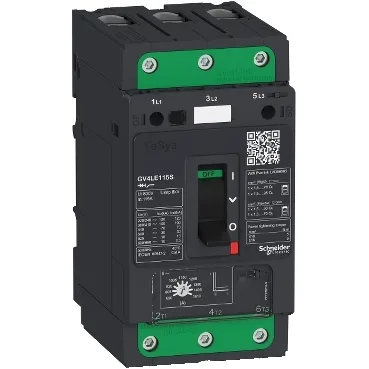 Schneider Electric GV4LE80S