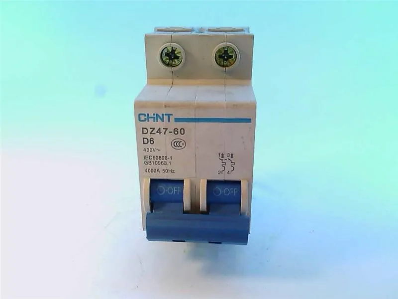 Chint DZ47-60 2P D6 — 2-Pole MCB (DIN Rail)