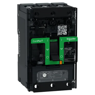 Schneider Electric C113100BS
