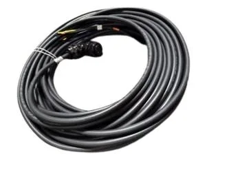 Omron R88A-CA1C030SF-E — PLC Accessories (image 2)