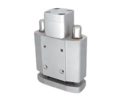 Festo DGRF-C-GF-50-45-PPVA-R-A3