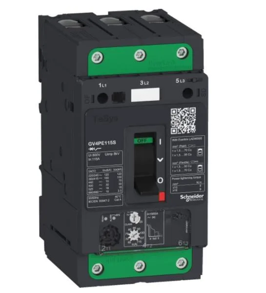 Schneider Electric GV4PE80S (image 2)