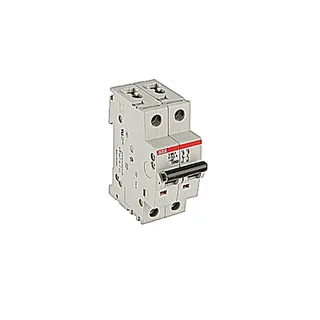 ABB S202-K0.5 — 2-Pole MCB (DIN Rail) (image 2)