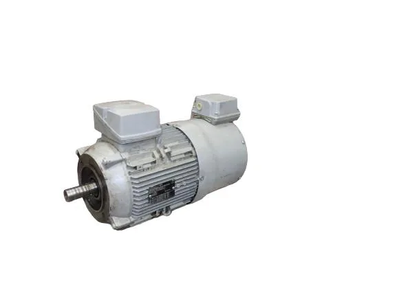 Siemens 1LE10031BB222KA4-Z — Induction Motors