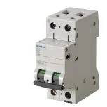 Siemens 5SL4206-7 — 2-Pole MCB (DIN Rail) (image 2)