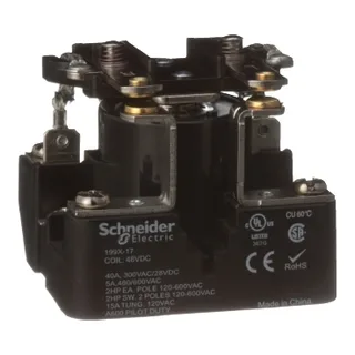 Schneider Electric 199X-17