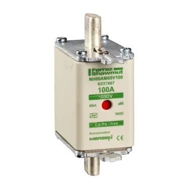 Schneider Electric DF2FGA100
