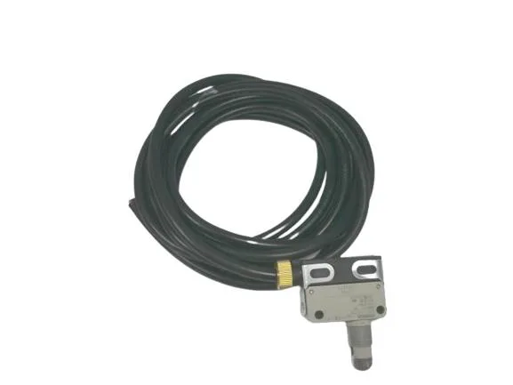 Omron D4E-1A21N — Limit Switches