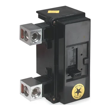 Schneider Electric 2C125 — 2-Pole MCB (DIN Rail)