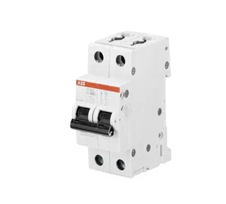 ABB S202-K63 — 2-Pole MCB (DIN Rail)