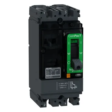Schneider Electric C16S2TM160 — Molded Case Circuit Breakers (MCCB)