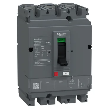 Schneider Electric LV510331FT — Molded Case Circuit Breakers (MCCB)