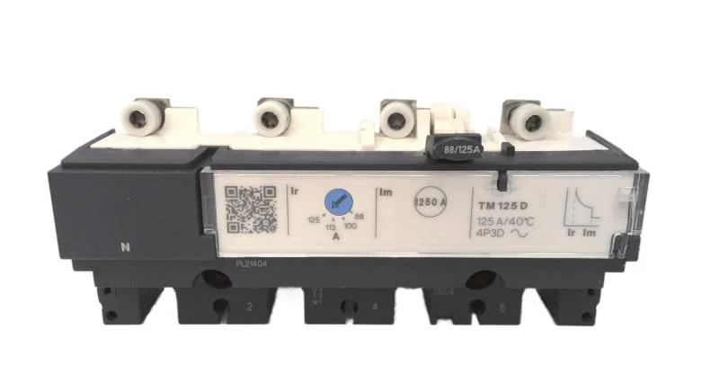 Schneider Electric C166TM125