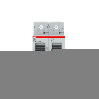 ABB S802S-B20 — 2-Pole MCB (DIN Rail)