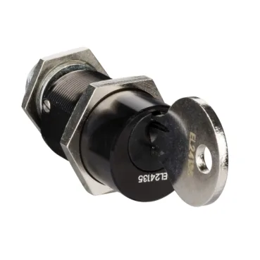 Schneider Electric 33191