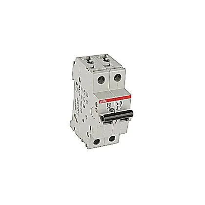 ABB S202-C40 — 2-Pole MCB (DIN Rail)