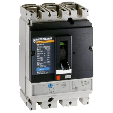 Schneider Electric 29069 — Molded Case Circuit Breakers (MCCB)