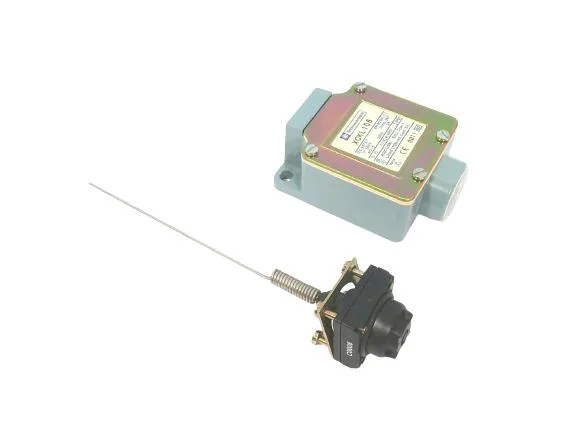 Schneider Electric XCKL106 — Limit Switches (image 2)