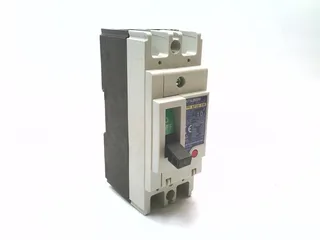 NF30-SW-2P-10A