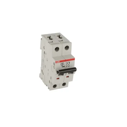 ABB S202P-K63 — 2-Pole MCB (DIN Rail)