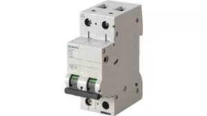 Siemens 5SL6206-6 — 2-Pole MCB (DIN Rail) (image 2)