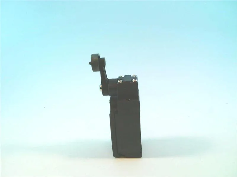Omron D4N-2C20 — Limit Switches (image 2)