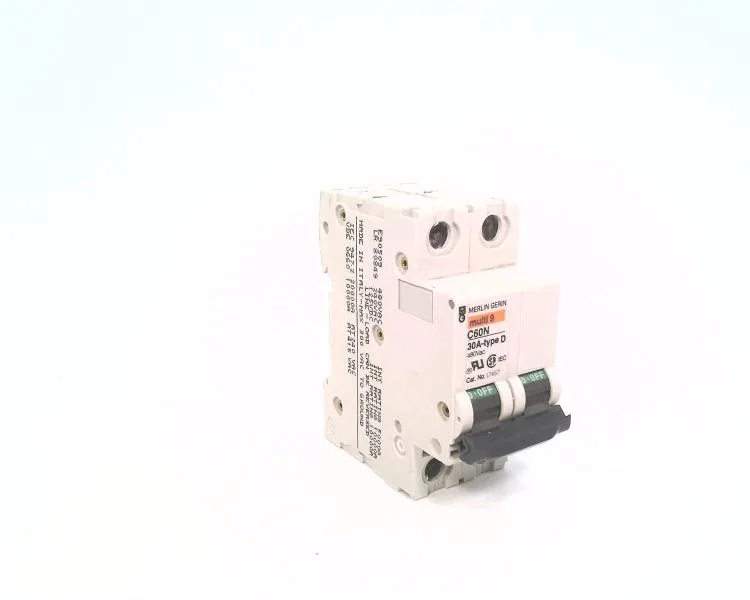 Schneider Electric C60N-2P-30A-D — 2-Pole MCB (DIN Rail) (image 4)